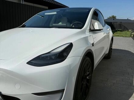 Білий Тесла Model Y, об'ємом двигуна 0 л та пробігом 190 тис. км за 22500 $, фото 1 на Automoto.ua