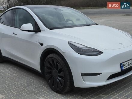 Білий Тесла Model Y, об'ємом двигуна 0 л та пробігом 64 тис. км за 26500 $, фото 1 на Automoto.ua