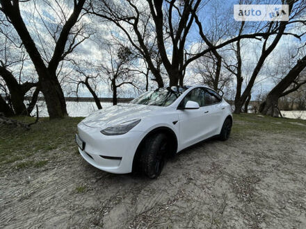 Білий Тесла Model Y, об'ємом двигуна 0 л та пробігом 3 тис. км за 46000 $, фото 1 на Automoto.ua