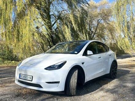 Белый Тесла Model Y, объемом двигателя 0 л и пробегом 62 тыс. км за 29700 $, фото 1 на Automoto.ua