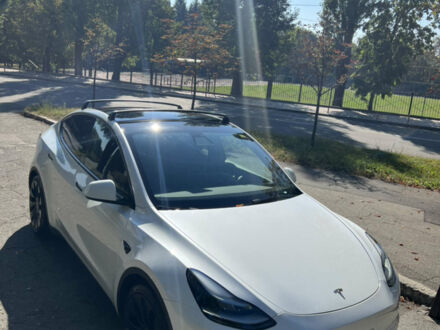 Білий Тесла Model Y, об'ємом двигуна 0 л та пробігом 80 тис. км за 30000 $, фото 1 на Automoto.ua