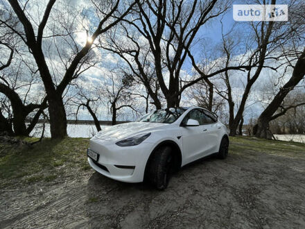 Белый Тесла Model Y, объемом двигателя 0 л и пробегом 6 тыс. км за 42000 $, фото 1 на Automoto.ua