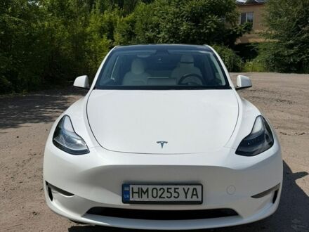 Білий Тесла Model Y, об'ємом двигуна 0 л та пробігом 35 тис. км за 24500 $, фото 1 на Automoto.ua