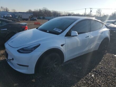 Тесла Model Y 2023 у Львові на Automoto.ua Білий Тесла Model Y, об'ємом двигуна 0 л та пробігом 37 тис. км за 20300 $, фото 1 на Automoto.ua