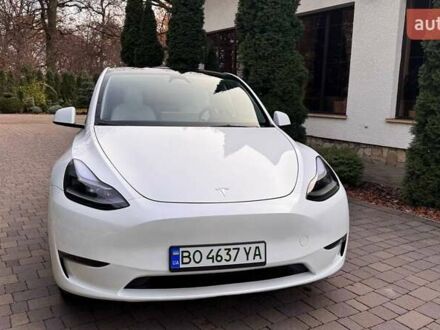 Тесла Model Y 2024 в Тернополе на Automoto.ua Белый Тесла Model Y, объемом двигателя 0 л и пробегом 1 тыс. км за 33333 $, фото 1 на Automoto.ua