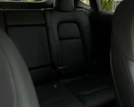 Черный Тесла Model Y, объемом двигателя 0 л и пробегом 34 тыс. км за 32500 $, фото 13 на Automoto.ua