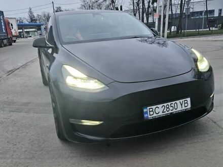 Тесла Model Y 2021 у Львові на Automoto.ua Чорний Тесла Model Y, об'ємом двигуна 0 л та пробігом 45 тис. км за 29999 $, фото 1 на Automoto.ua