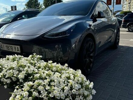 Чорний Тесла Model Y, об'ємом двигуна 0 л та пробігом 200 тис. км за 23999 $, фото 1 на Automoto.ua