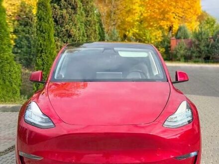 Тесла Model Y 2021 в Львове на Automoto.ua Красный Тесла Model Y, объемом двигателя 0 л и пробегом 41 тыс. км за 23900 $, фото 1 на Automoto.ua
