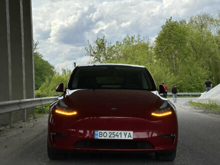 Тесла Model Y 2021 в Тернополе на Automoto.ua Красный Тесла Model Y, объемом двигателя 0 л и пробегом 55 тыс. км за 28400 $, фото 1 на Automoto.ua