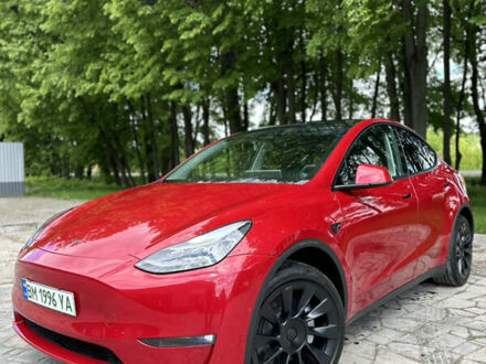 Червоний Тесла Model Y, об'ємом двигуна 0 л та пробігом 34 тис. км за 32500 $, фото 1 на Automoto.ua