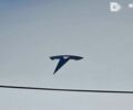 Тесла Model Y 2020 в Одессе на Automoto.ua Тесла Model Y, объемом двигателя 0 л и пробегом 18 тыс. км за 45700 $, фото 5 на Automoto.ua