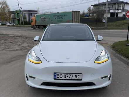Тесла Model Y 2021 в Тернополе на Automoto.ua Тесла Model Y, объемом двигателя 0 л и пробегом 8 тыс. км за 25300 $, фото 1 на Automoto.ua