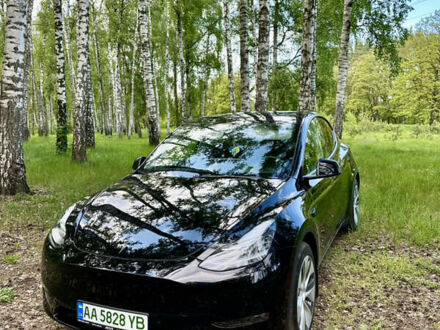 Тесла Model Y, объемом двигателя 0 л и пробегом 39 тыс. км за 36500 $, фото 1 на Automoto.ua