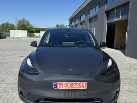 Тесла Model Y 2023 в Черновцах на Automoto.ua Тесла Model Y, объемом двигателя 0 л и пробегом 38 тыс. км за 27499 $, фото 1 на Automoto.ua