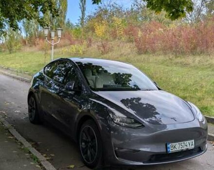 Сірий Тесла Model Y, об'ємом двигуна 0 л та пробігом 152 тис. км за 21000 $, фото 31 на Automoto.ua