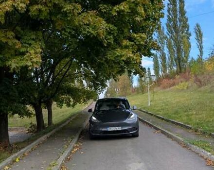 Сірий Тесла Model Y, об'ємом двигуна 0 л та пробігом 152 тис. км за 21000 $, фото 35 на Automoto.ua