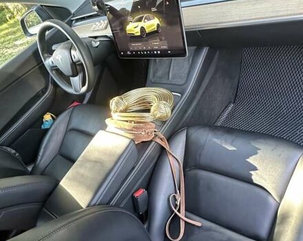 Серый Тесла Model Y, объемом двигателя 0 л и пробегом 60 тыс. км за 28999 $, фото 10 на Automoto.ua