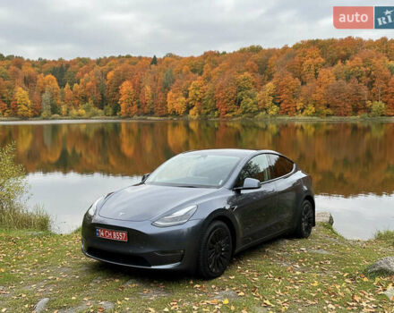 Серый Тесла Model Y, объемом двигателя 0 л и пробегом 95 тыс. км за 24900 $, фото 1 на Automoto.ua