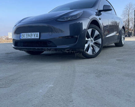 Сірий Тесла Model Y, об'ємом двигуна 0 л та пробігом 43 тис. км за 28500 $, фото 122 на Automoto.ua