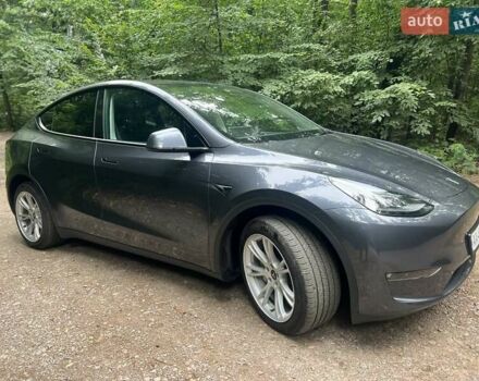 Сірий Тесла Model Y, об'ємом двигуна 0 л та пробігом 25 тис. км за 25000 $, фото 3 на Automoto.ua