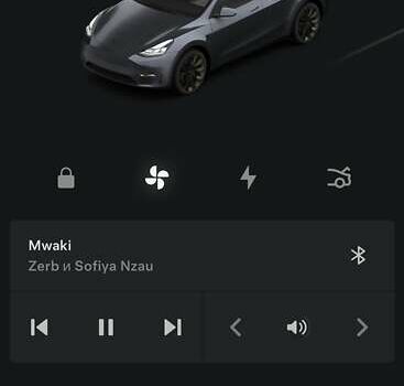 Сірий Тесла Model Y, об'ємом двигуна 0 л та пробігом 73 тис. км за 30000 $, фото 37 на Automoto.ua