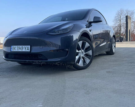 Сірий Тесла Model Y, об'ємом двигуна 0 л та пробігом 43 тис. км за 28500 $, фото 120 на Automoto.ua