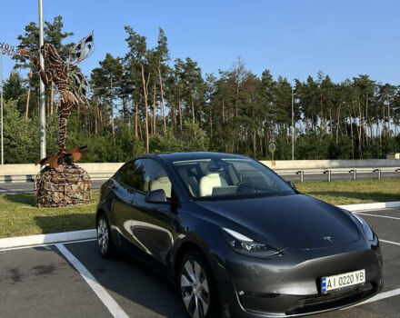 Серый Тесла Model Y, объемом двигателя 0 л и пробегом 59 тыс. км за 28600 $, фото 3 на Automoto.ua