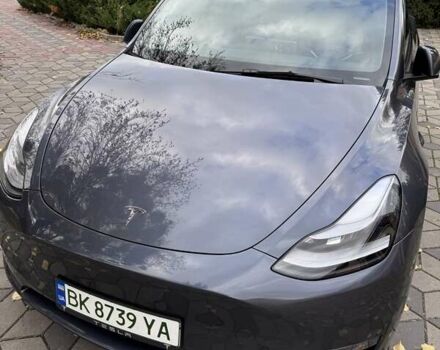 Тесла Model Y 2023 в Ровно на Automoto.ua Серый Тесла Model Y, объемом двигателя 0 л и пробегом 30 тыс. км за 30000 $, фото 33 на Automoto.ua