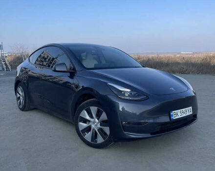 Сірий Тесла Model Y, об'ємом двигуна 0 л та пробігом 43 тис. км за 28500 $, фото 95 на Automoto.ua
