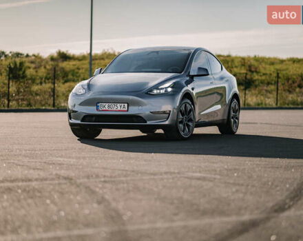 Серый Тесла Model Y, объемом двигателя 0 л и пробегом 6 тыс. км за 33500 $, фото 21 на Automoto.ua