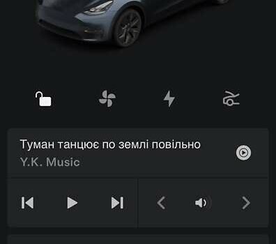 Серый Тесла Model Y, объемом двигателя 0 л и пробегом 5 тыс. км за 35700 $, фото 13 на Automoto.ua