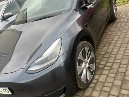Сірий Тесла Model Y, об'ємом двигуна 0 л та пробігом 32 тис. км за 24200 $, фото 1 на Automoto.ua
