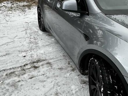 Серый Тесла Model Y, объемом двигателя 0 л и пробегом 54 тыс. км за 48999 $, фото 1 на Automoto.ua