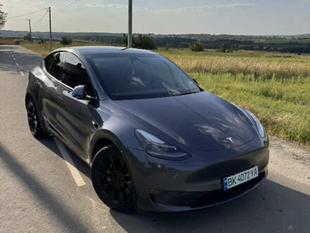 Тесла Model Y 2023 в Ровно на Automoto.ua Серый Тесла Model Y, объемом двигателя 0 л и пробегом 29 тыс. км за 27500 $, фото 1 на Automoto.ua