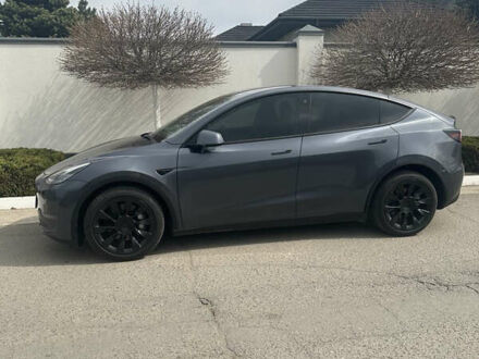 Тесла Model Y 2023 в Днепре (Днепропетровске) на Automoto.ua Серый Тесла Model Y, объемом двигателя 0 л и пробегом 11 тыс. км за 28400 $, фото 1 на Automoto.ua