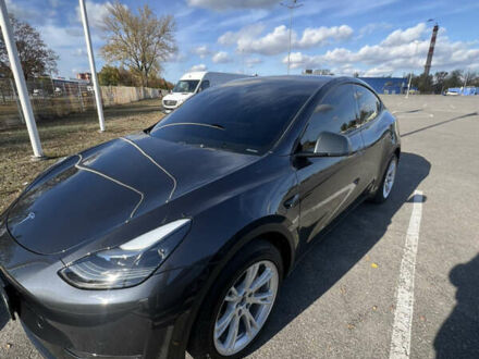 Серый Тесла Model Y, объемом двигателя 0 л и пробегом 40 тыс. км за 29900 $, фото 1 на Automoto.ua