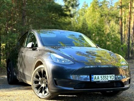 Серый Тесла Model Y, объемом двигателя 0.53 л и пробегом 95 тыс. км за 24999 $, фото 1 на Automoto.ua