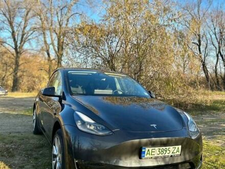 Тесла Model Y 2024 в Киеве на Automoto.ua Серый Тесла Model Y, объемом двигателя 0 л и пробегом 10 тыс. км за 27000 $, фото 1 на Automoto.ua