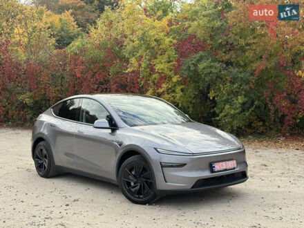 Серый Тесла Model Y, объемом двигателя 0 л и пробегом 1 тыс. км за 55000 $, фото 1 на Automoto.ua