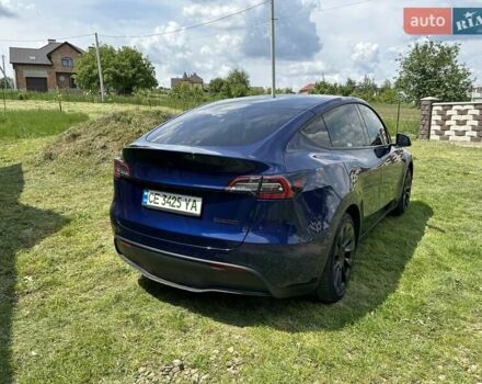 Синий Тесла Model Y, объемом двигателя 0 л и пробегом 45 тыс. км за 25990 $, фото 4 на Automoto.ua