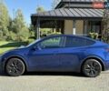 Синий Тесла Model Y, объемом двигателя 0 л и пробегом 80 тыс. км за 25300 $, фото 60 на Automoto.ua