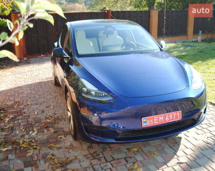 Синій Тесла Model Y, об'ємом двигуна 0 л та пробігом 24 тис. км за 26400 $, фото 28 на Automoto.ua