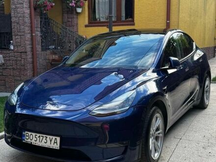 Синій Тесла Model Y, об'ємом двигуна 0 л та пробігом 132 тис. км за 15000 $, фото 1 на Automoto.ua