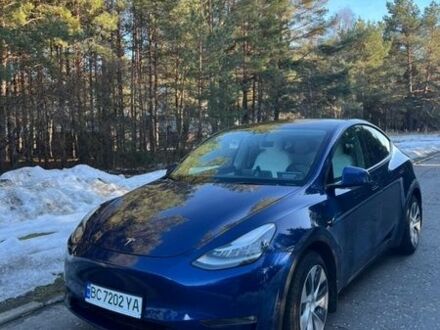 Синій Тесла Model Y, об'ємом двигуна 0 л та пробігом 66 тис. км за 28000 $, фото 1 на Automoto.ua