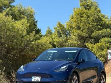 Синій Тесла Model Y, об'ємом двигуна 0 л та пробігом 122 тис. км за 23999 $, фото 1 на Automoto.ua
