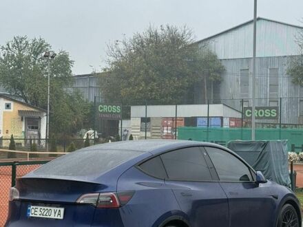 Синій Тесла Model Y, об'ємом двигуна 0 л та пробігом 90 тис. км за 26900 $, фото 1 на Automoto.ua