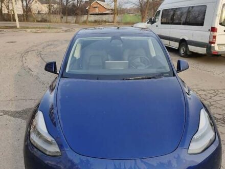 Синій Тесла Model Y, об'ємом двигуна 0 л та пробігом 45 тис. км за 25800 $, фото 1 на Automoto.ua