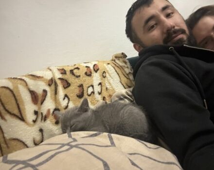 Белый Тойота Камри, объемом двигателя 2.5 л и пробегом 240 тыс. км за 9999 $, фото 2 на Automoto.ua