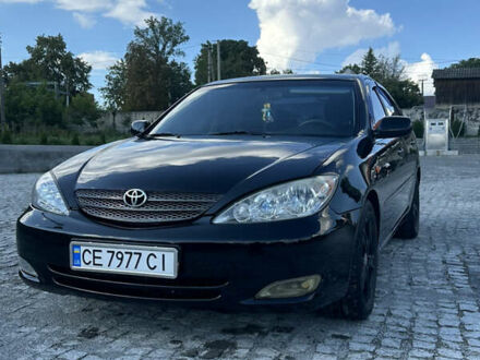 Тойота Камри 2003 в Кельменцах на Automoto.ua Черный Тойота Камри, объемом двигателя 3 л и пробегом 320 тыс. км за 5500 $, фото 1 на Automoto.ua